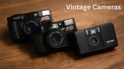 Classic Point-and-Shoot Cameras Loved in Australia: Nikon L35AF, Canon AF35M & Konica Big Mini