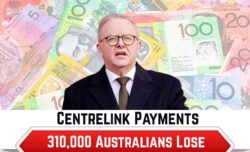 Centrelink System Glitch 2025 – 310,000 Australians Lose Payments After Major Technical Error